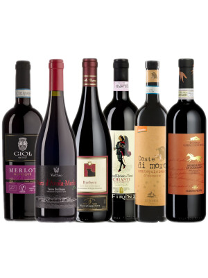 Organic red wine list Italy / 6 bottles