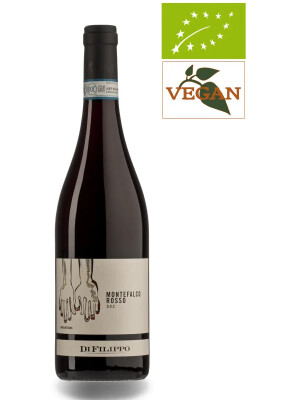 Rosso di Montefalco DOC 2019 Red Wine Organic Wine