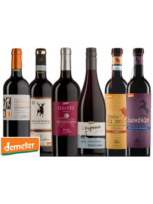 Demeter tasting box red wine / 6 bottles