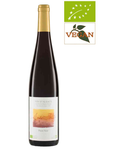 Bio Stentz Pinot Noir  AOC Alsace 2020 Rotwein